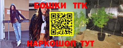СК Тула