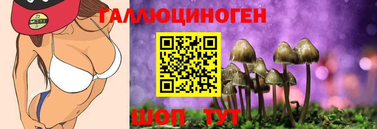 Галлюциногенные грибы мицелий Ногинск